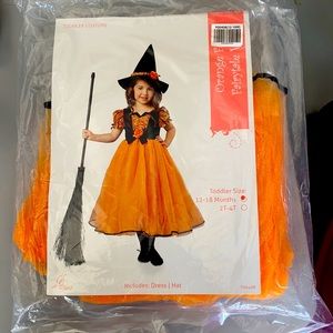 Orange Fancy Fairytale Witch Costume